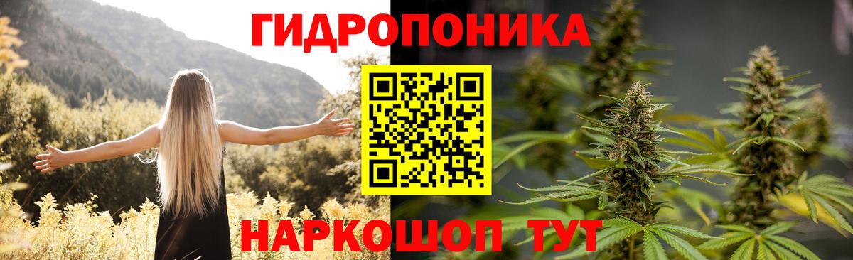 Конопля SATIVA & INDICA Новокубанск